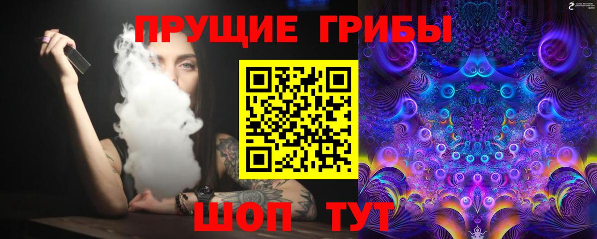 Псилоцибиновые грибы мицелий Бийск